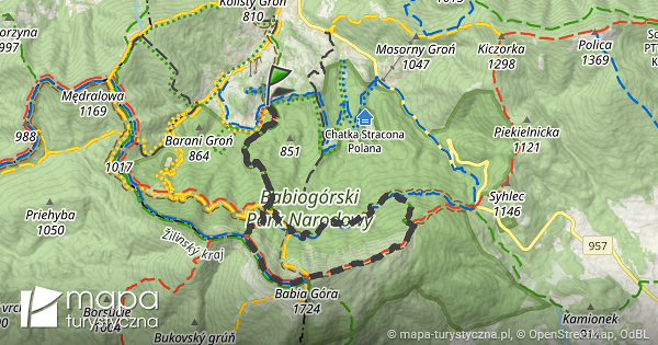 Trasa: Zawoja, Markowa – Zawoja, Markowa