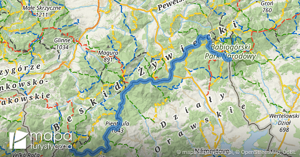 Niebieski szlak turystyczny Rycerzowa Wielka – Babia Góra | mapa