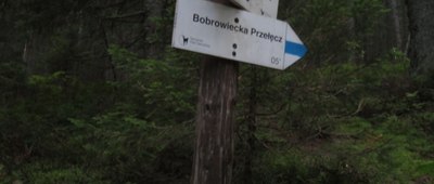 Odejście na Bobrowiecką Przełęcz