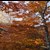 Beskid Mały - jesień u podnóży Leskowca