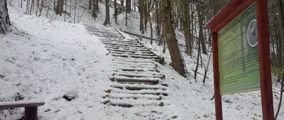 Park Strzelecki ↔ Przełęcz pod Krępcem [schodami pod górkę, dalej w prawo zielonym szlakiem]