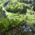 Dolina Prądnika widziana z punktu widokowego na zielonym szlaku pomiędzy jaskinią Ciemną a Prądnikiem Czajowskim.