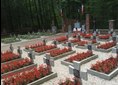 Skarbowa Góra, cmentarz partyzancki [Cmentarz wojenny pod Skarbową Górą ]