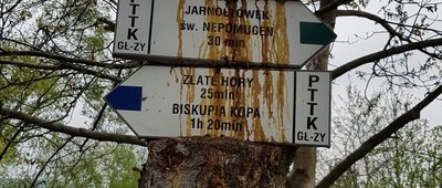Zlaté Hory, przy granicy ↔ Jarnołtówek, odejście szlaku zielonego [Granica PL-CZ 2]