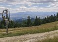 Wisielakówka [Widok na Tatry z zielonego szlaku na Turbacz]