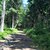 Chlupenkovec - widok na szlak czerwony w kierunku Paprsek (zielony -> Rudawiec)