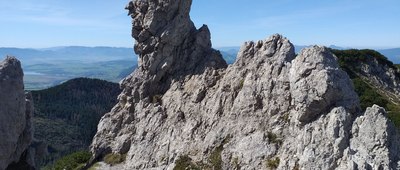 Sivý vrch ↔ Biela skala, horáreň