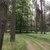 Wejście do lasu od strony ul. Ołtuszewskiego