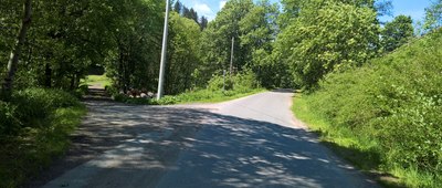 Kulin Kłodzki [Szlak zielony (po lewej) w kierunku Przełęczy w Grodźcu, szlak niebieski (po prawej) w kierunku Lewina Kłodzkiego]