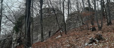Jerzmanowice, odejście szlaku zielonego ↔ Rezerwat Dolina Szklarki [Piękne skałki.]
