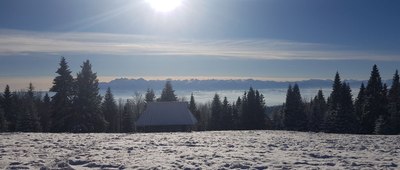 Magurki ↔ Jaszcze [Panorama z polany przed wieżą widokową na Magurkach]