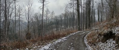 Przełęcz Łaszczowa ↔ Kalwaria