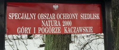 Wilków, ul. Leśna [Natura 2000]