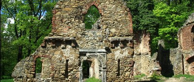 Zamek Stary Książ [ruiny zamku w okolicy wąwozu Pełcznicy]