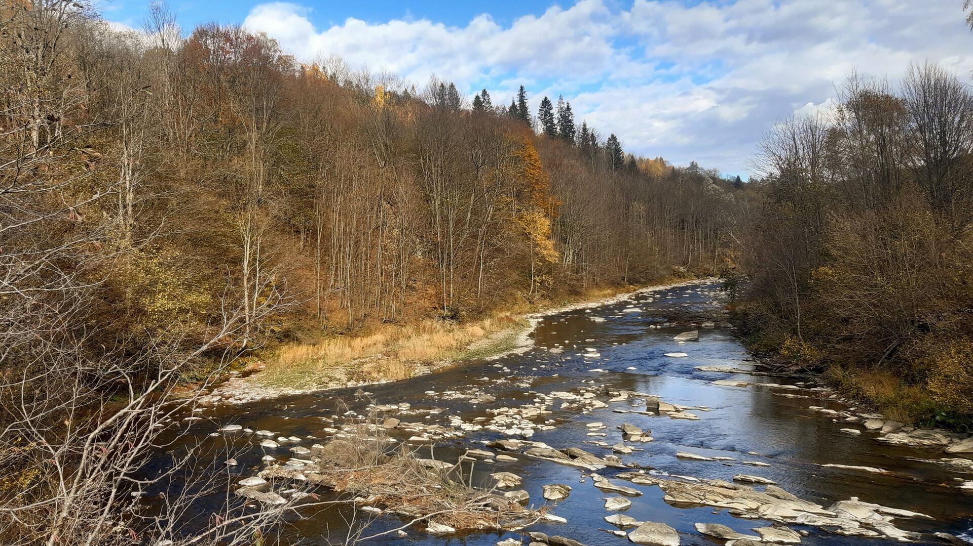 Bieszczady - rzeka Wetlina między Kalnicą a dawną wsią Jaworzec
