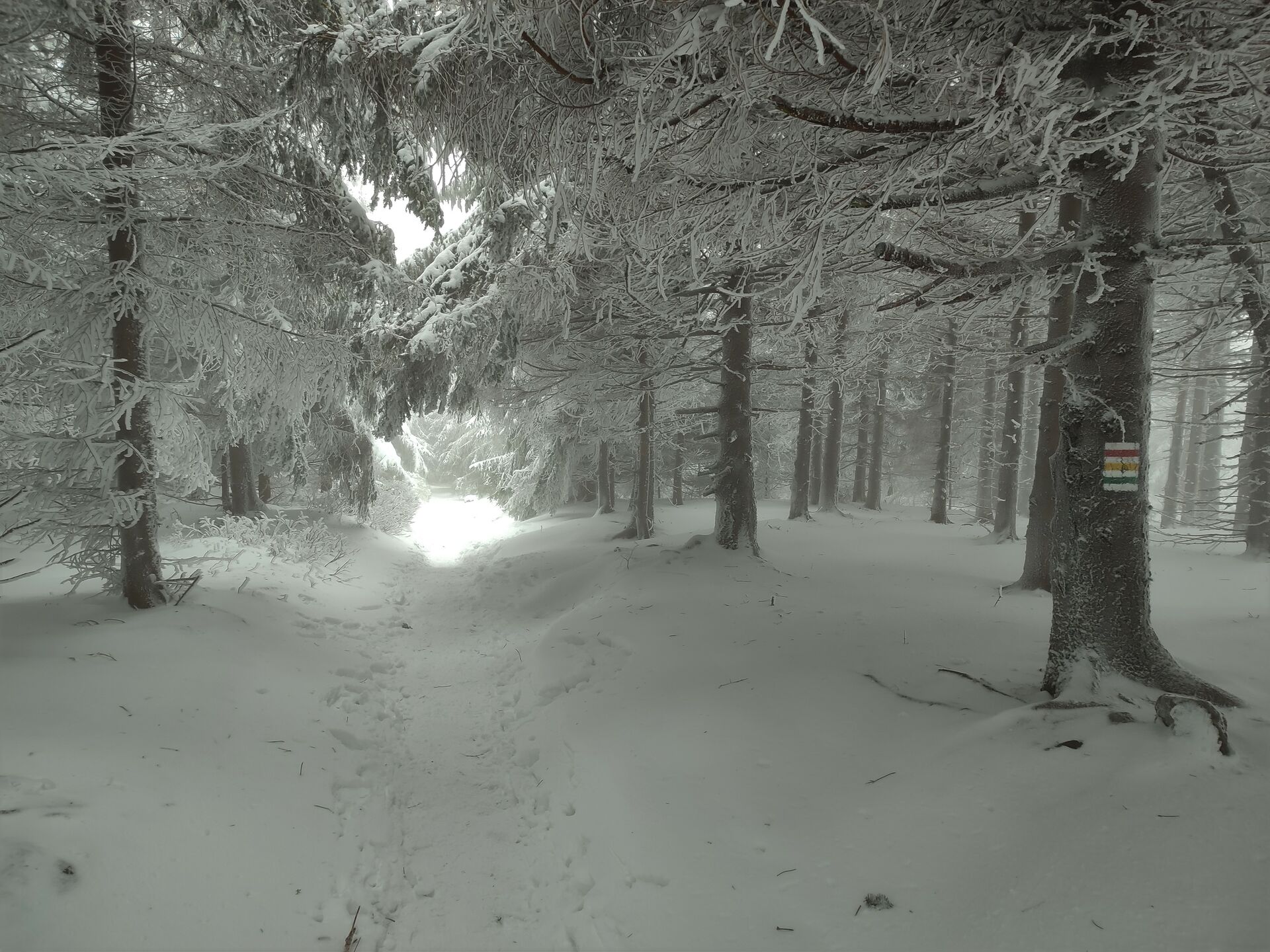 Szlak na Skalnik zimą