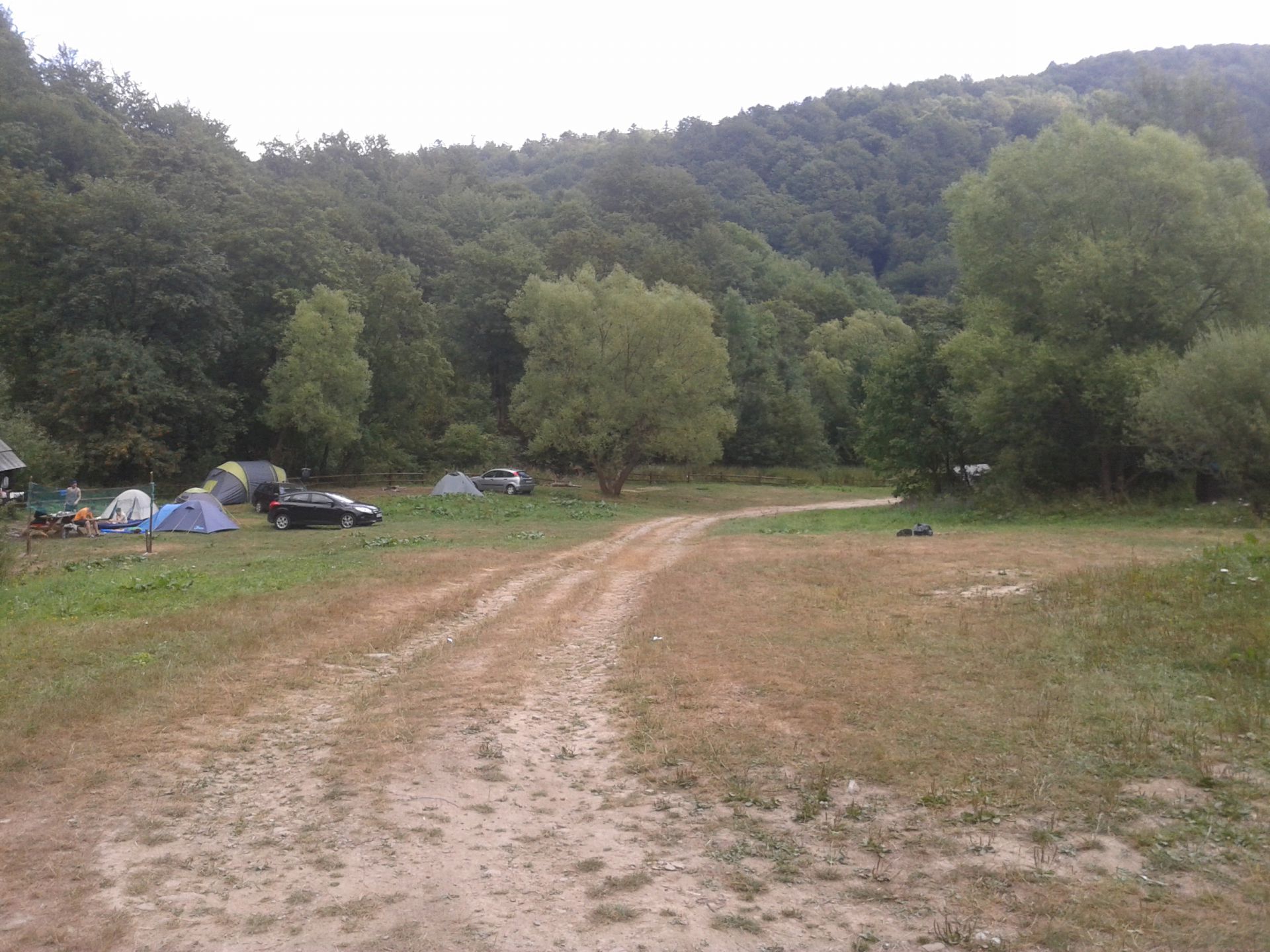 Pole namiotowe w Bereżkach 2013 r.