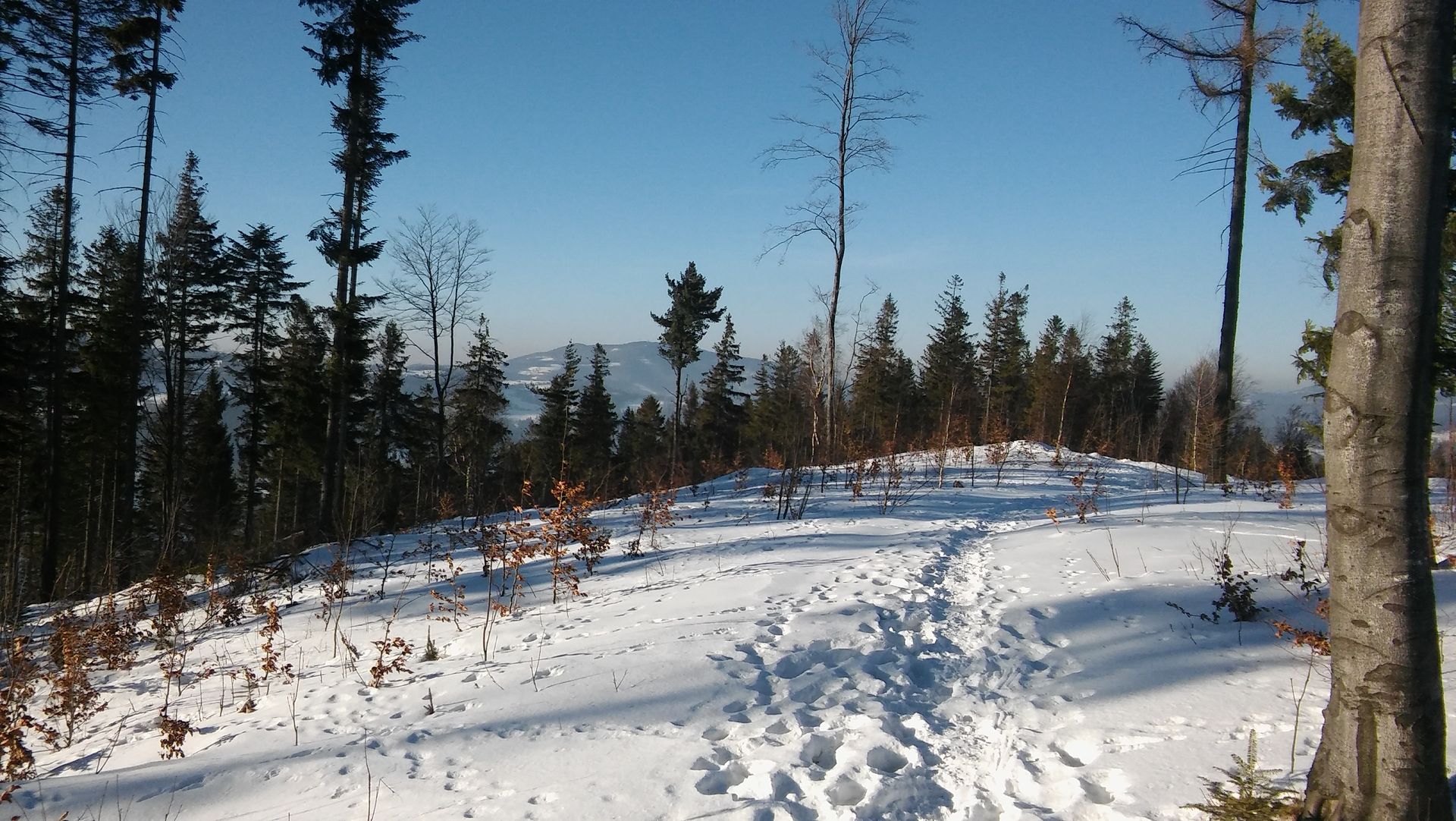 Przełęcz Kubalonka – Kozińce