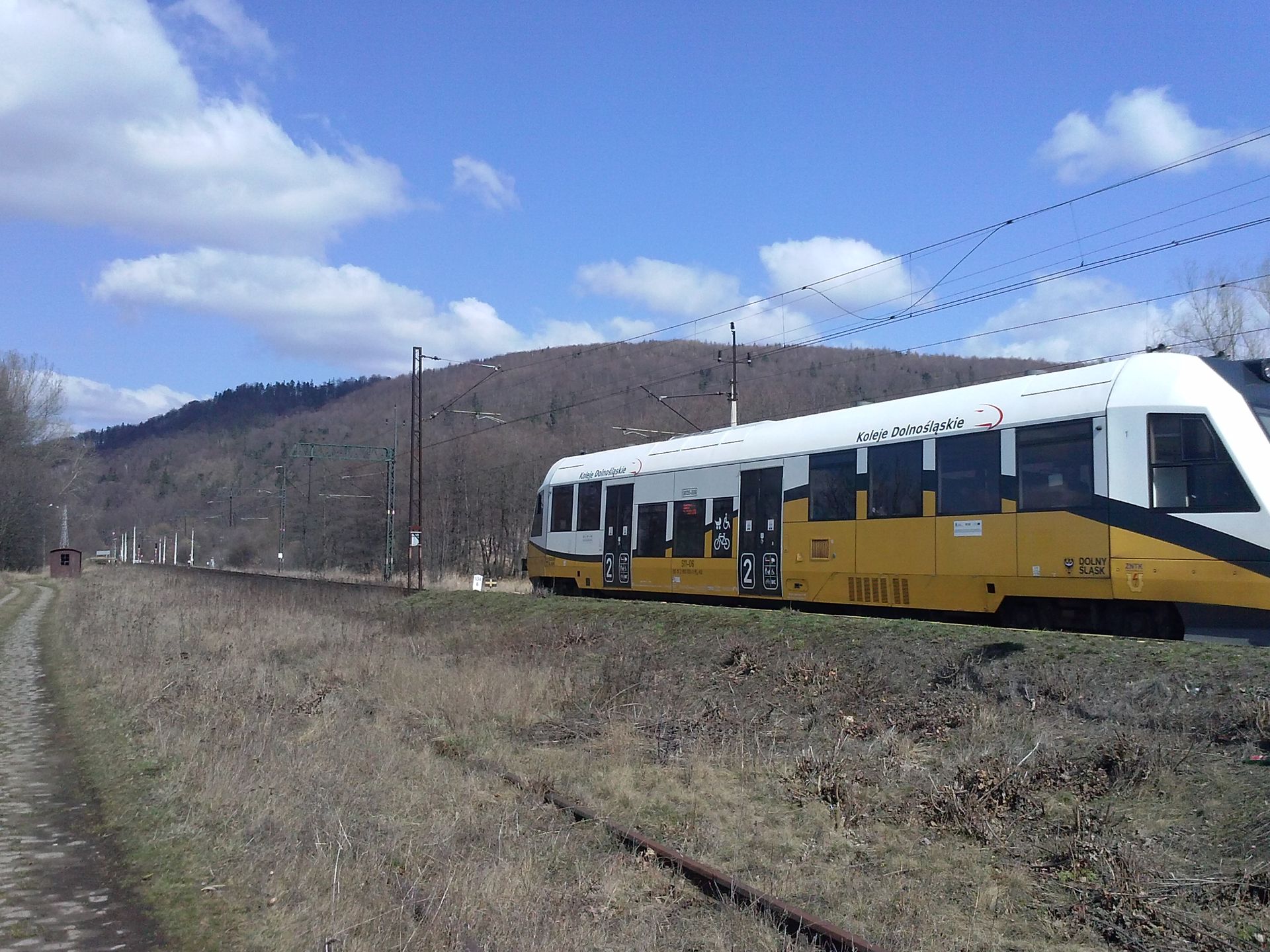 Szynobus lini kolejowej nr 276  przejeżdżający przez Gorzanów na tle Dębowej Góry.
