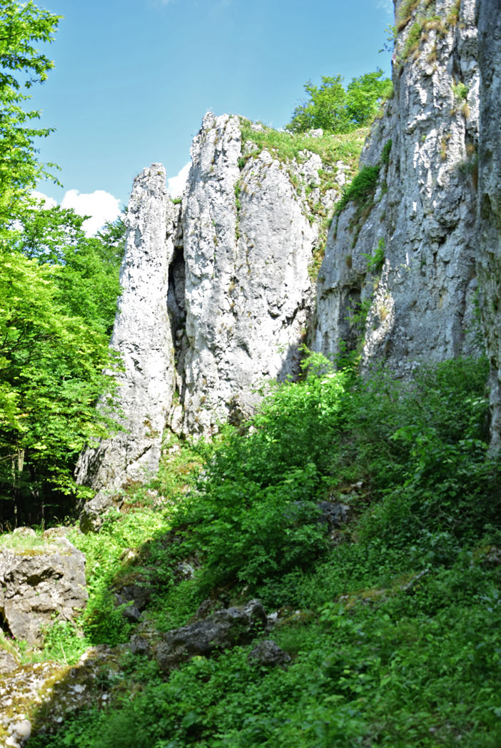 Jaskinia Wierzchowska Górna.