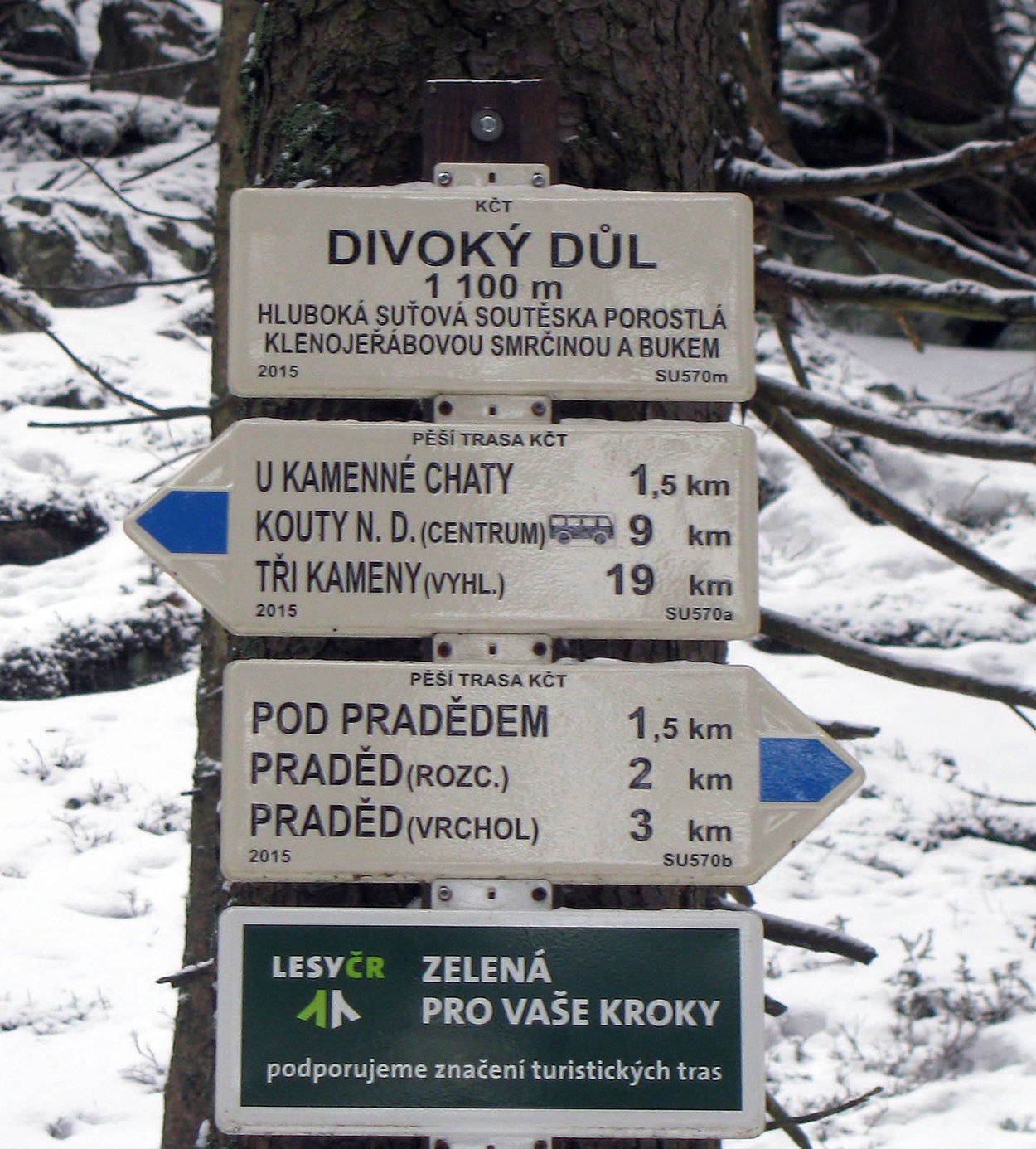 DIVOKY DUL 1100 m