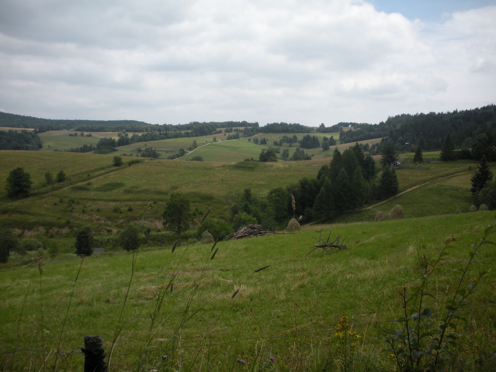 krajobraz okolic Wojkowej