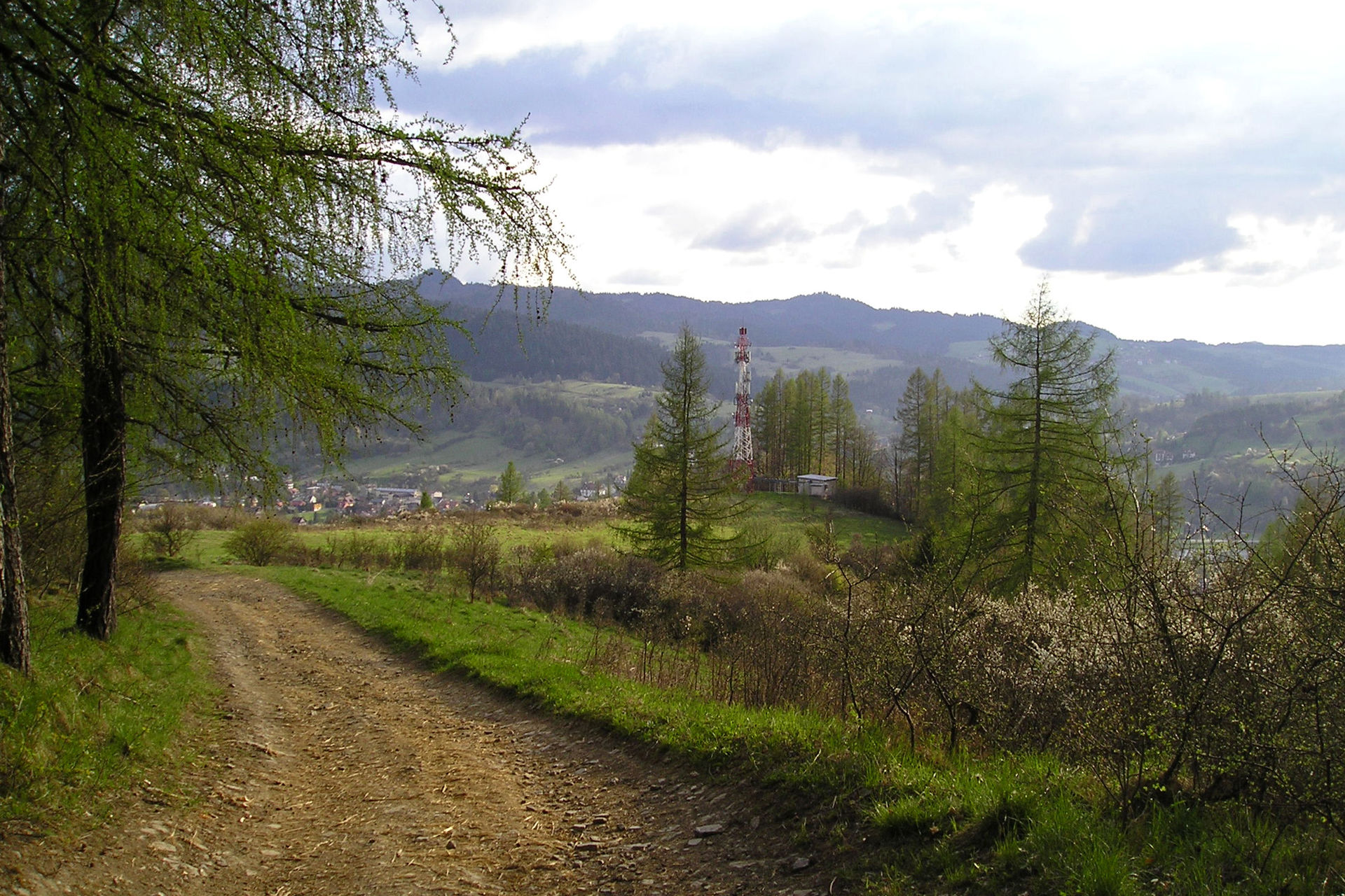 Widok w stronę Krościenka z terenów poniżej lasu