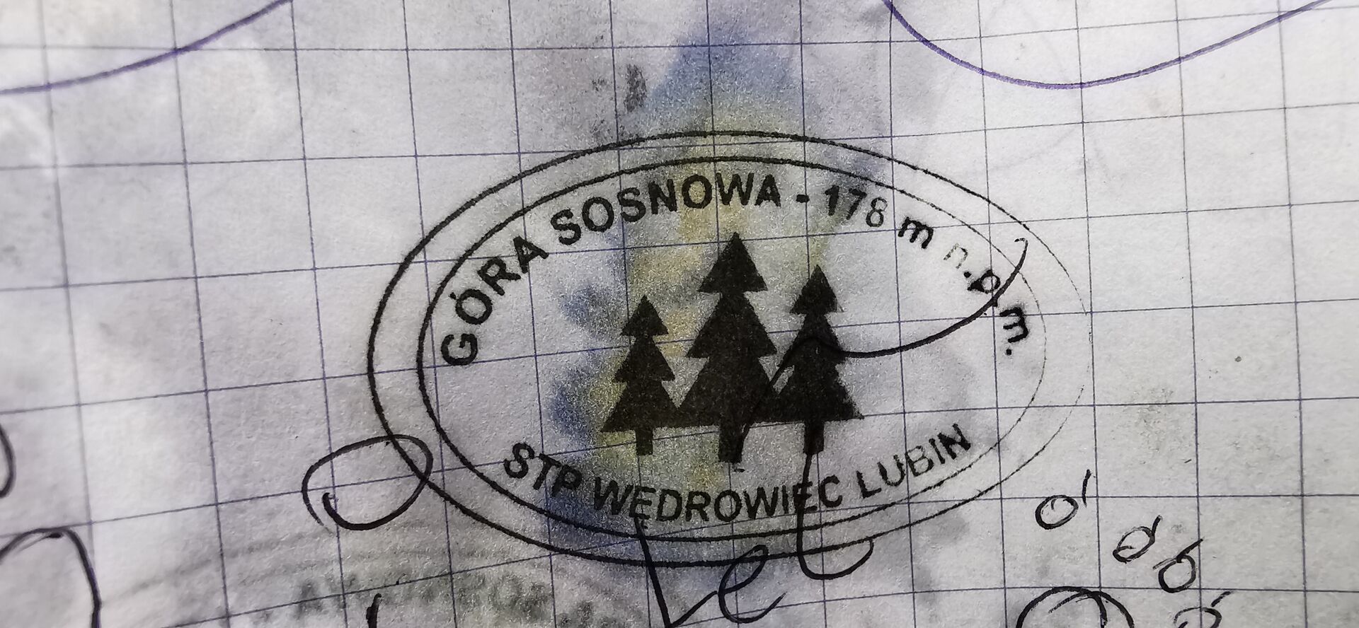 Góra Sosnowa