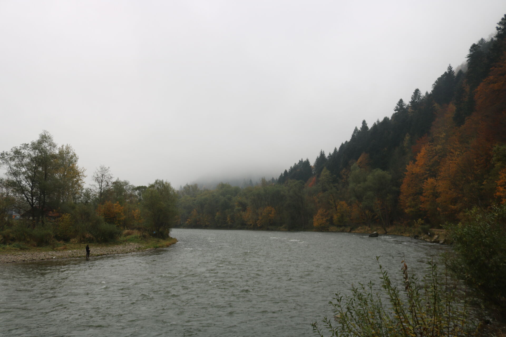jesienny przełom Dunajca